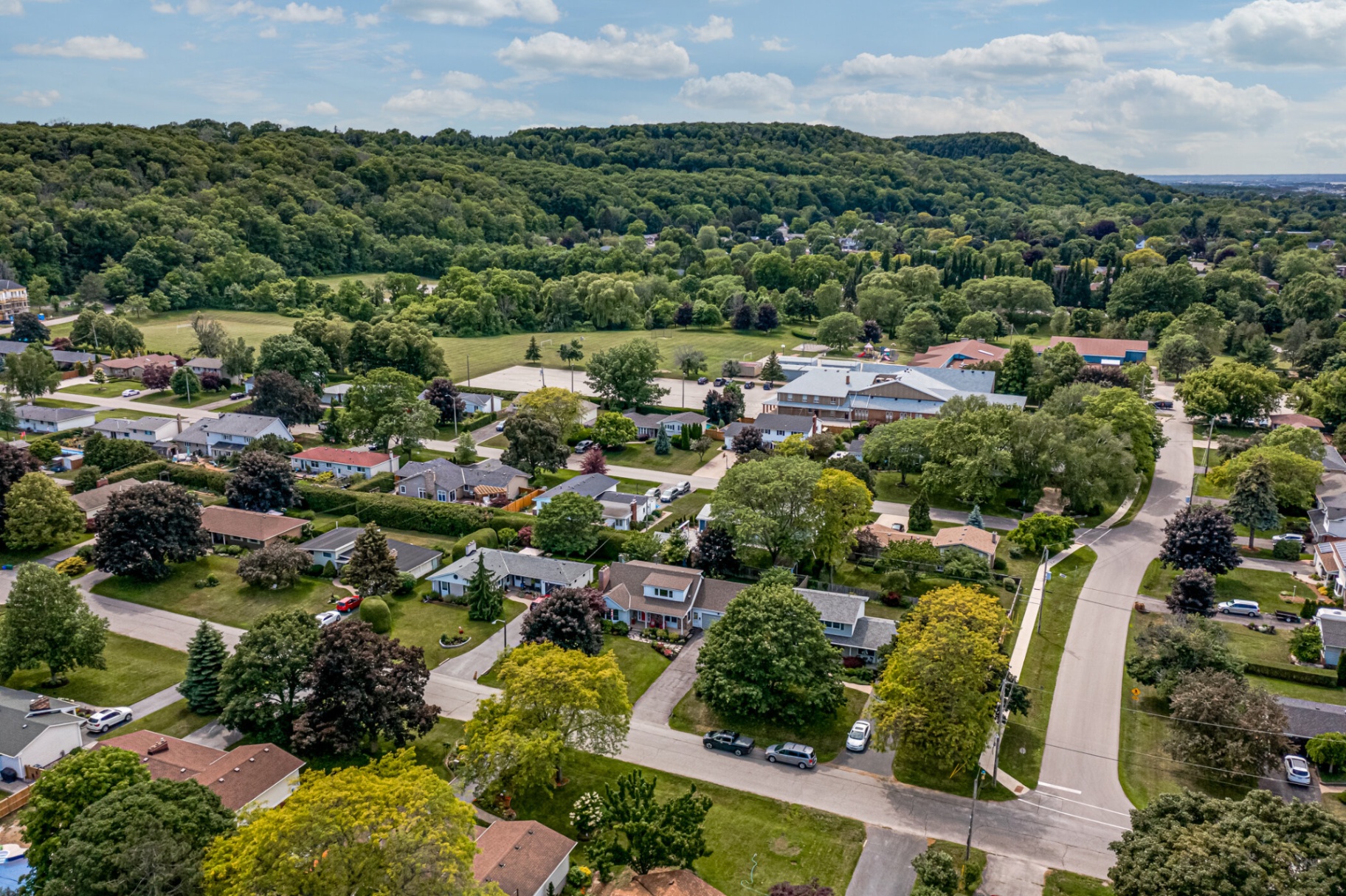 Neighborhood with park and forest backdrop
